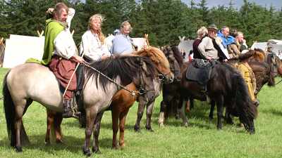 Islandske heste på Bork Vikingemarked, Bork Vikingehavn